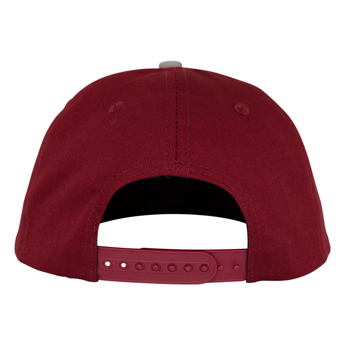 SANTA CRUZ NATAS MFG PANTHER STRUCTURED SNAPBACK HAT