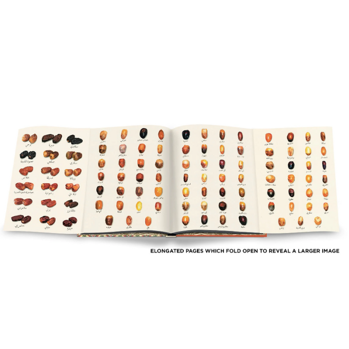 Saudi Dates: A Portrait of the Sacred Fruit