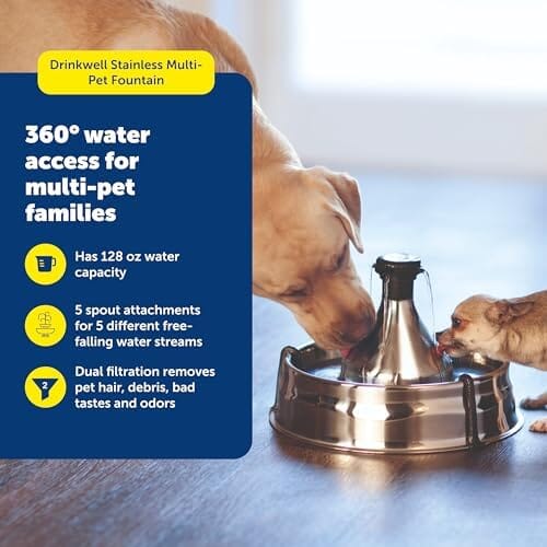 Scratch and Rust Resistant Automatic Water Dispenser for Pets- Filters Included Dog Bowls & Feeders Pet Clever