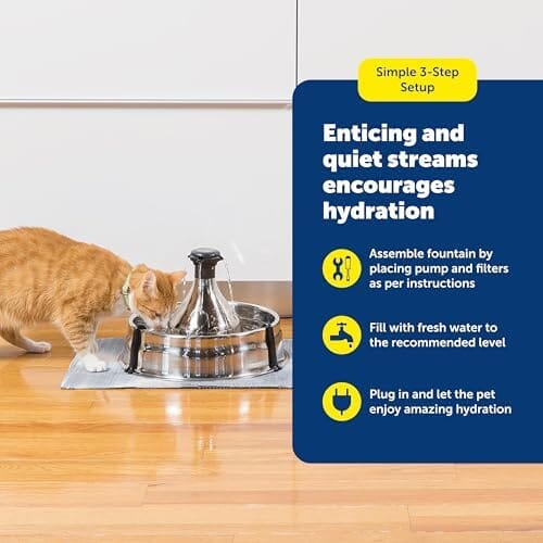 Scratch and Rust Resistant Automatic Water Dispenser for Pets- Filters Included Dog Bowls & Feeders Pet Clever