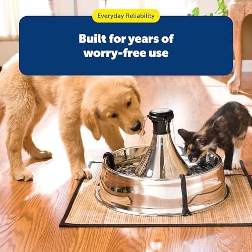 Scratch and Rust Resistant Automatic Water Dispenser for Pets- Filters Included Dog Bowls & Feeders Pet Clever