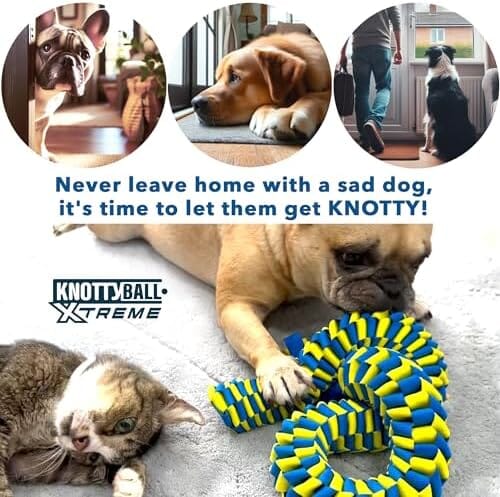 Slow Feeding Dog Enrichment Toys for Training and Stress Relief Dog Pet Clever