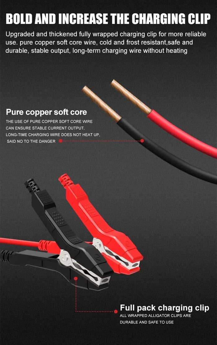 Smart Car Battery Charger