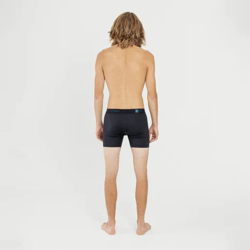STANCE PURE BOXER BRIEF WHOLESTER