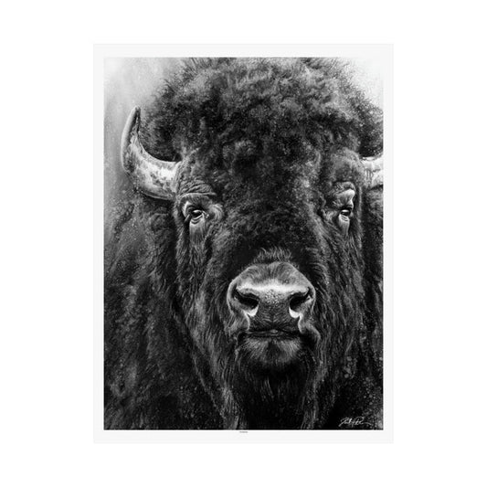 "Tatanka" Premium Matte Paper Print.