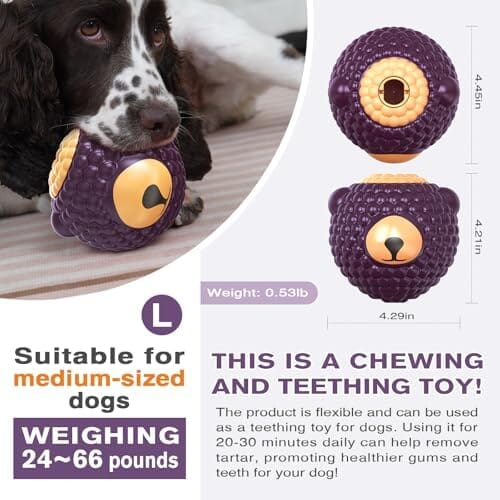 Unbreakable Dog Toy for Power Chewers Toys Pet Clever