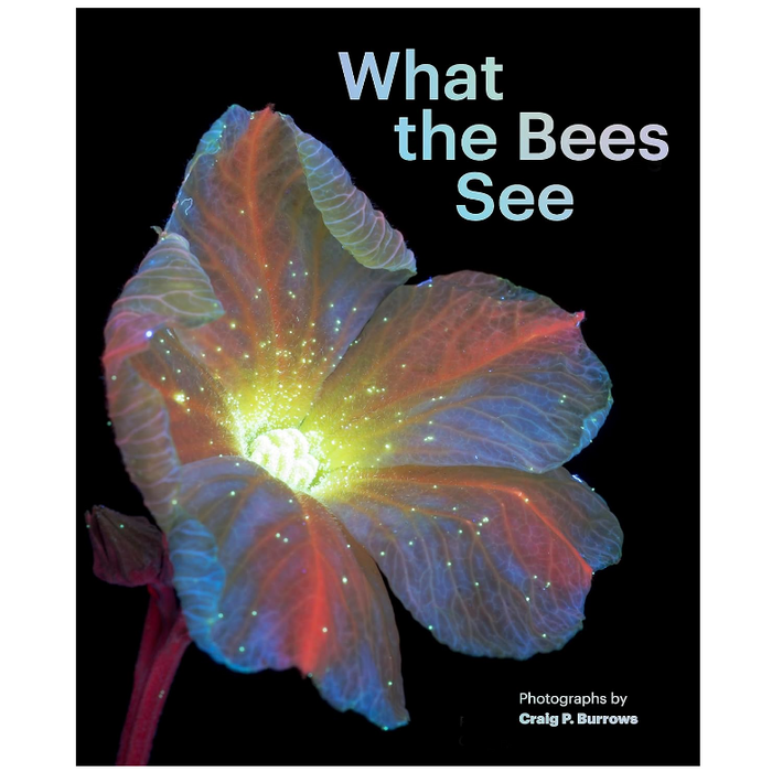 What the Bees See Book