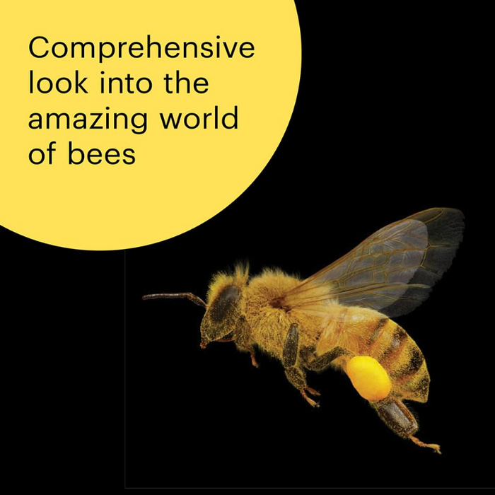 What the Bees See Book