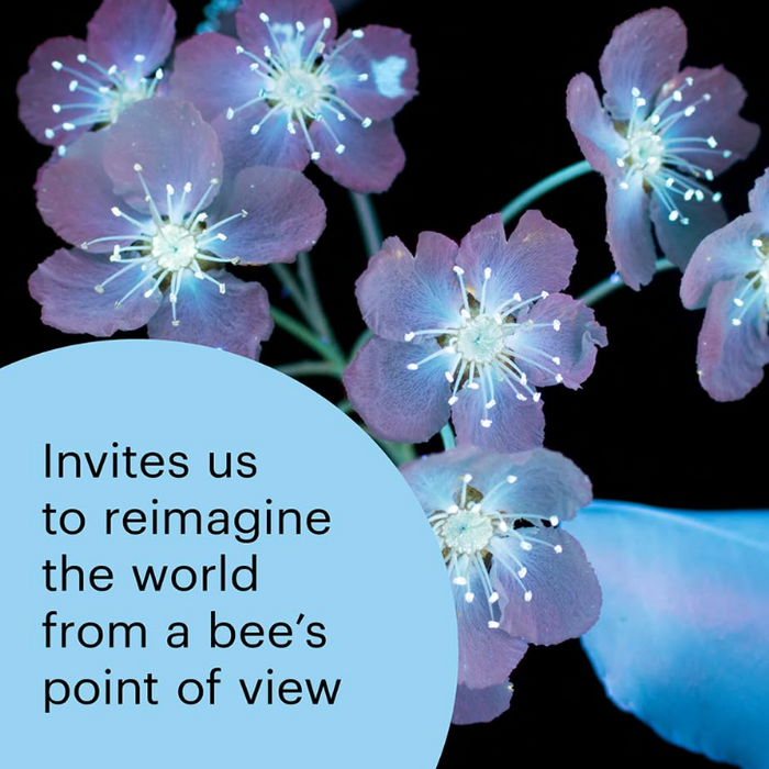 What the Bees See Book