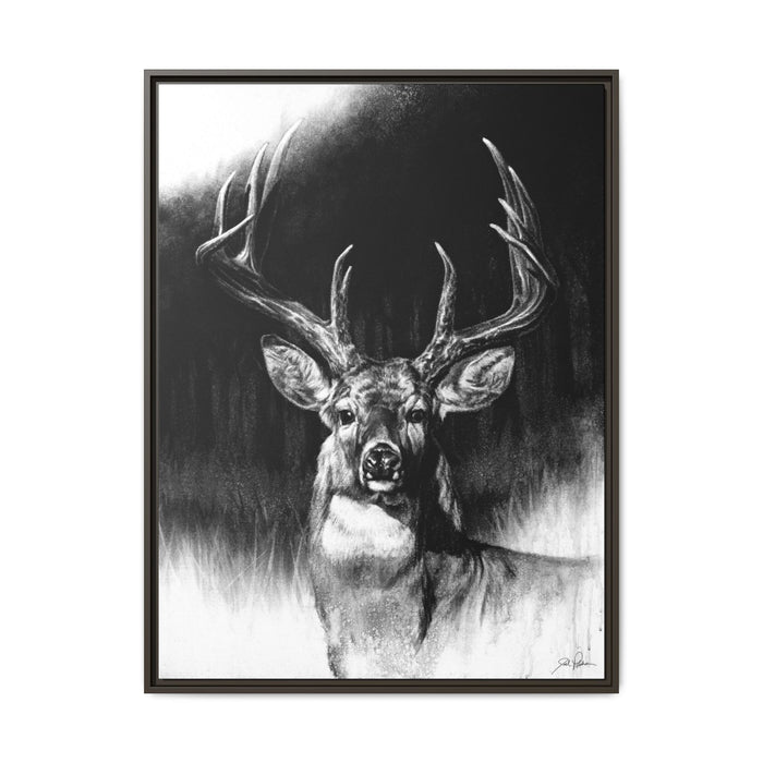 "Whitetail" Framed Canvas