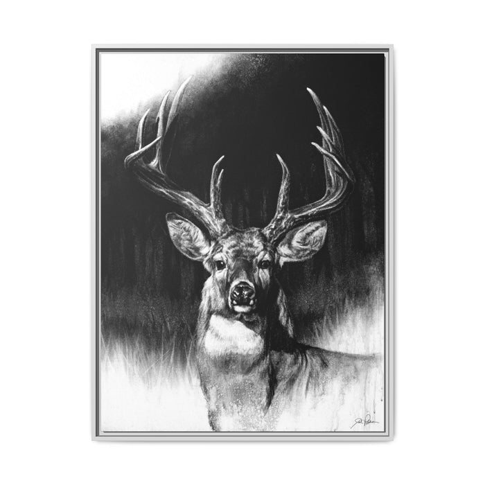 "Whitetail" Framed Canvas