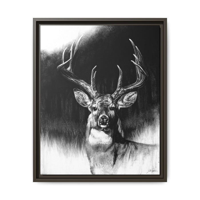 "Whitetail" Framed Canvas