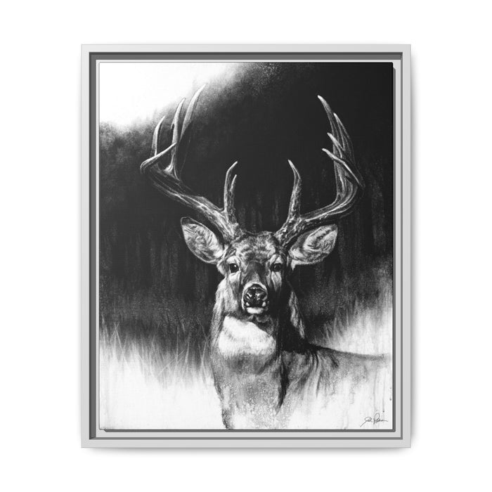 "Whitetail" Framed Canvas