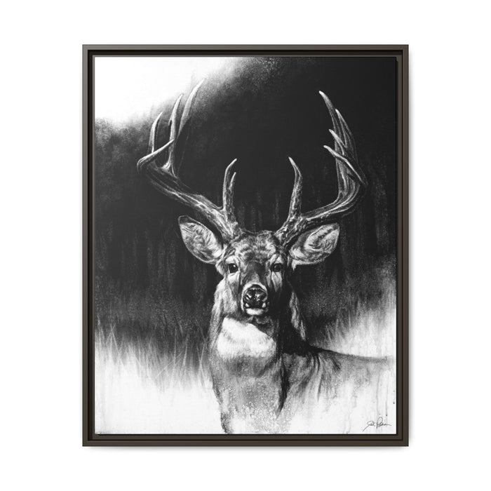 "Whitetail" Framed Canvas