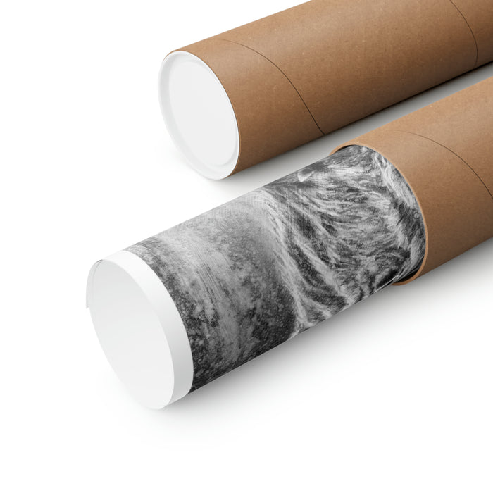 "Wild Boar" Premium Matte Paper Print.